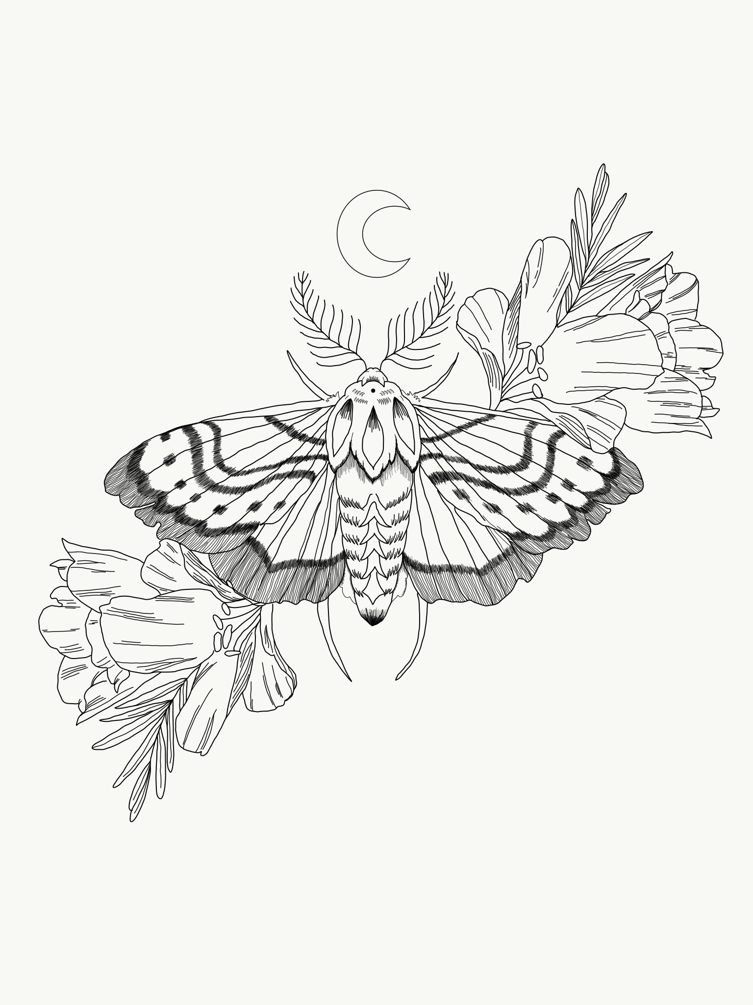Digital Illustrations
